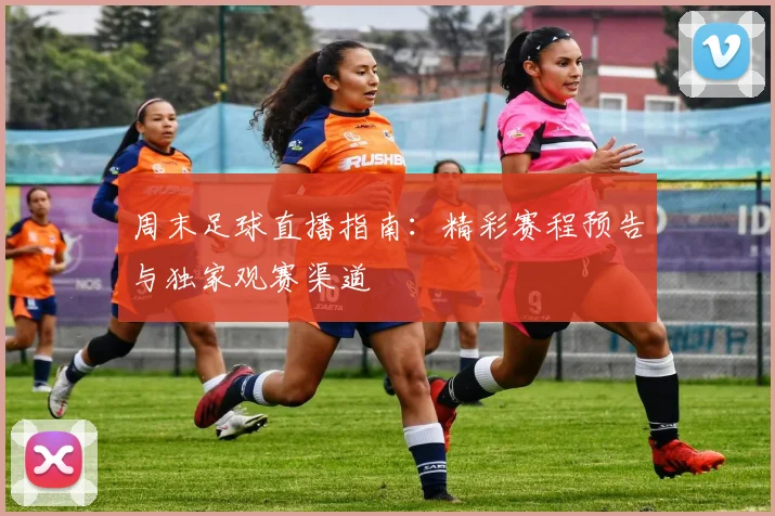 周末足球直播指南：精彩赛程预告与独家观赛渠道